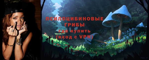 ГАЛЛЮЦИНОГЕННЫЕ ГРИБЫ Белоозёрский